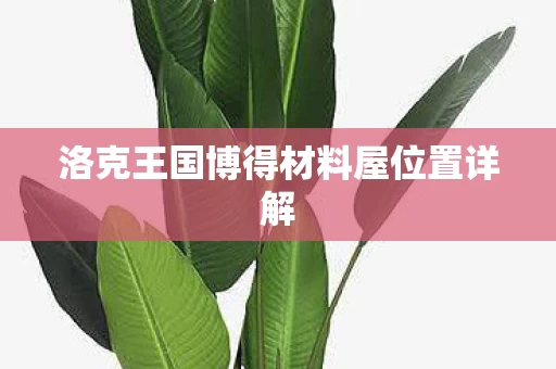 洛克王国博得材料屋位置详解图片