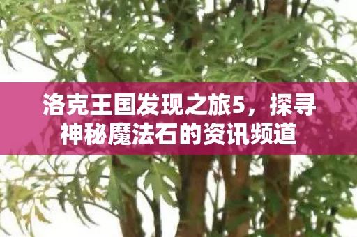 探寻神秘魔法石的资讯频道图片