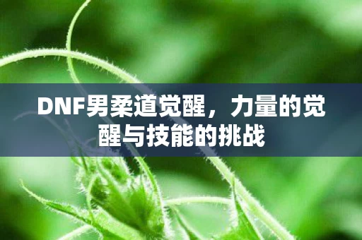 力量的觉醒与技能的挑战图片