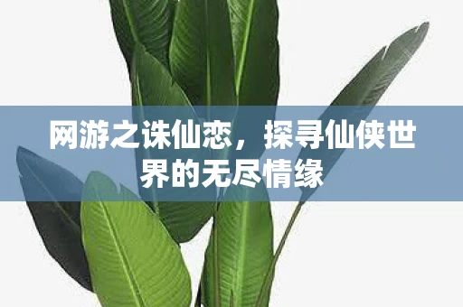 探寻仙侠世界的无尽情缘图片