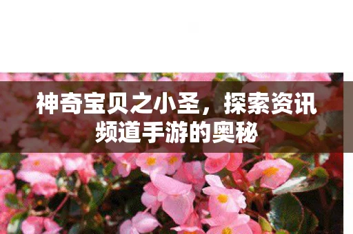 探索资讯频道手游的奥秘图片