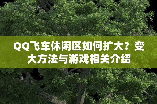 QQ飞车休闲区如何扩大图片