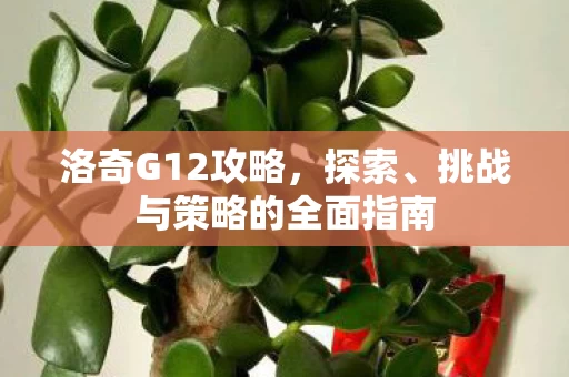 挑战与策略的全面指南图片