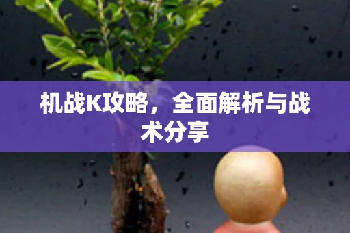 全面解析与战术分享图片
