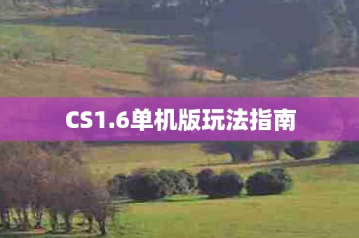6单机版玩法指南图片