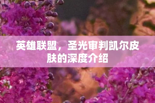 圣光审判凯尔皮肤的深度介绍图片