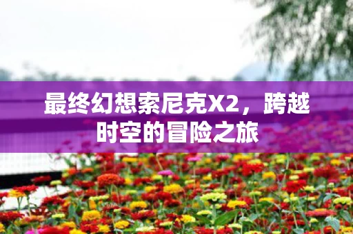 最终幻想索尼克X2图片