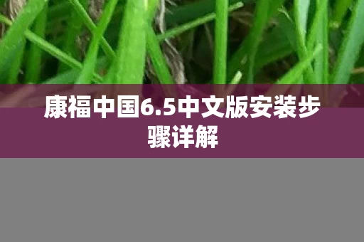 5中文版安装步骤详解图片