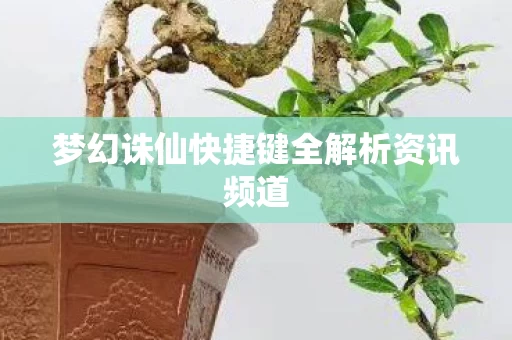 梦幻诛仙快捷键全解析资讯频道图片