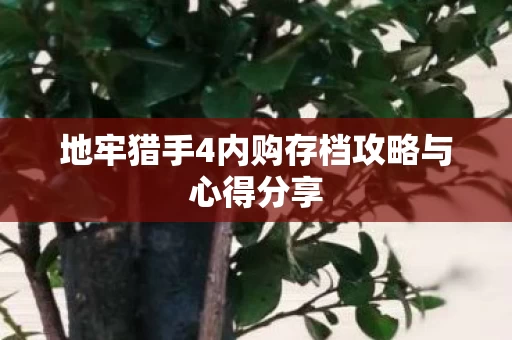 地牢猎手4内购存档攻略与心得分享图片