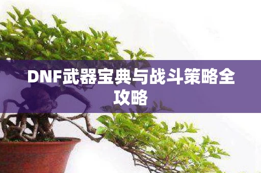 DNF武器宝典与战斗策略全攻略图片
