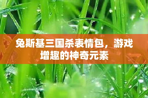 兔斯基三国杀表情包图片