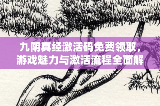 游戏魅力与激活流程全面解析图片