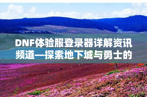 DNF体验服登录器详解资讯频道图片