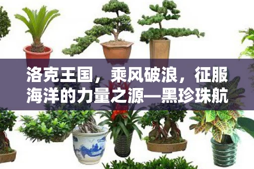 征服海洋的力量之源图片