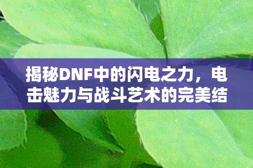 电击魅力与战斗艺术的完美结合图片