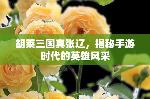 揭秘手游时代的英雄风采图片