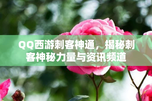 揭秘刺客神秘力量与资讯频道图片