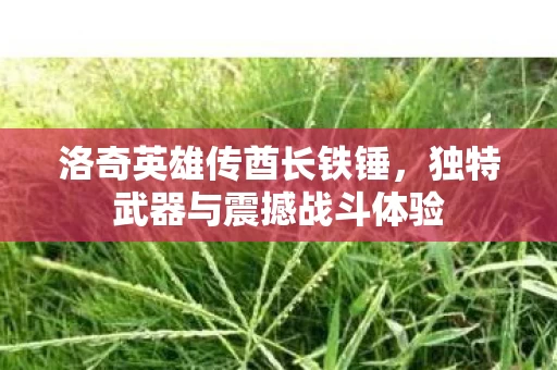 独特武器与震撼战斗体验图片