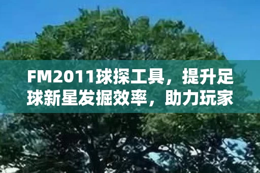 FM2011球探工具图片