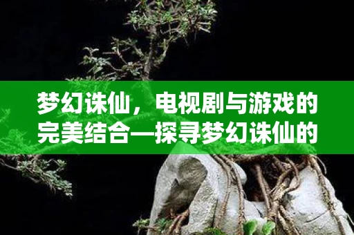 电视剧与游戏的完美结合图片