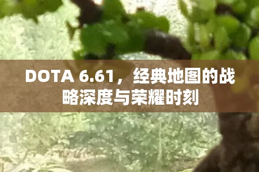 经典地图的战略深度与荣耀时刻图片