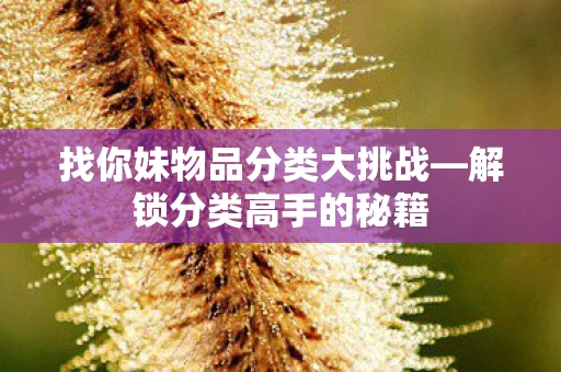 找你妹物品分类大挑战图片