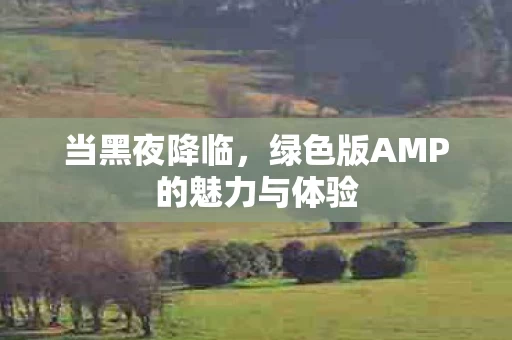 绿色版AMP的魅力与体验图片