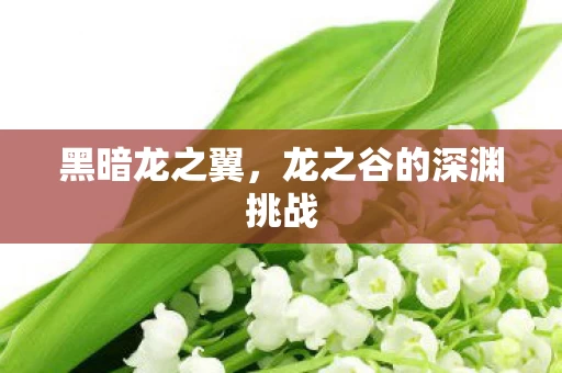 龙之谷的深渊挑战图片