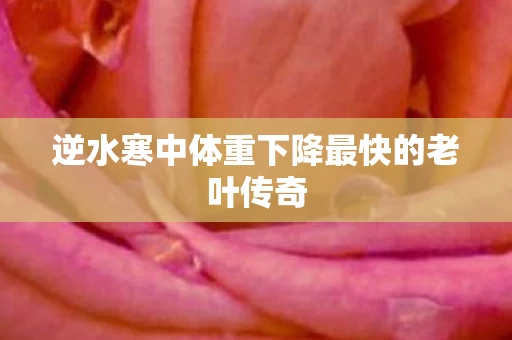 逆水寒中体重下降最快的老叶传奇图片