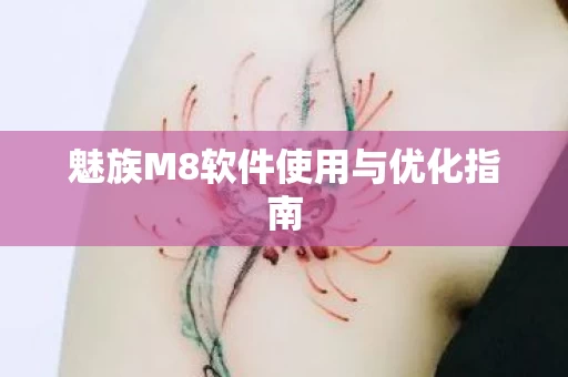魅族M8软件使用与优化指南图片