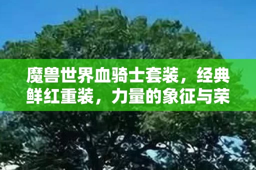 力量的象征与荣耀的彰显图片