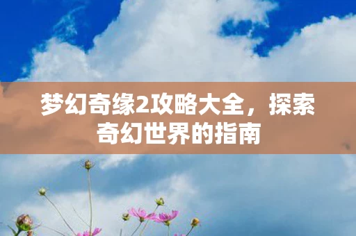 梦幻奇缘2攻略大全图片