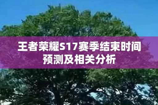 王者荣耀S17赛季结束时间预测及相关分析图片