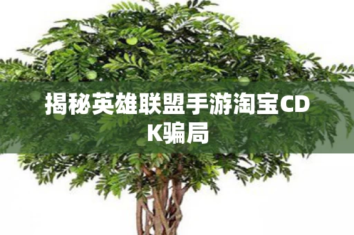 揭秘英雄联盟手游淘宝CDK骗局图片