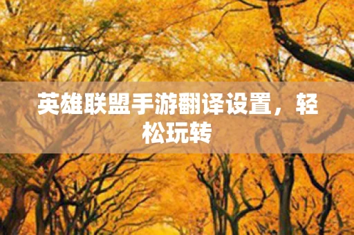 英雄联盟手游翻译设置图片