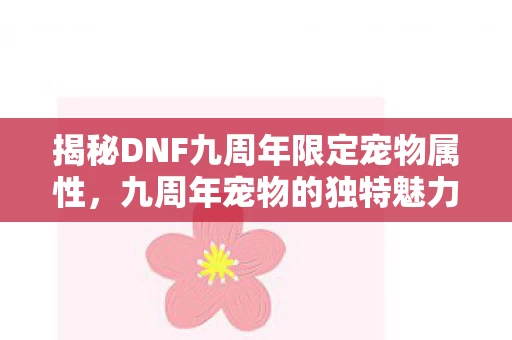 揭秘DNF九周年限定宠物属性图片