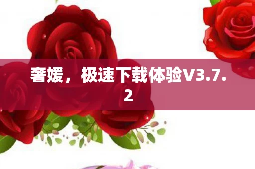 极速下载体验V3图片