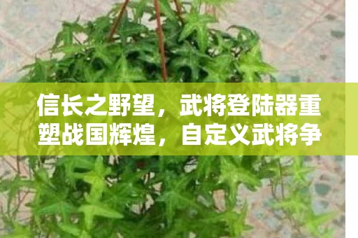 武将登陆器重塑战国辉煌图片