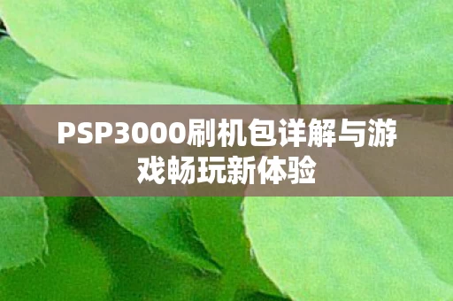 PSP3000刷机包详解与游戏畅玩新体验图片