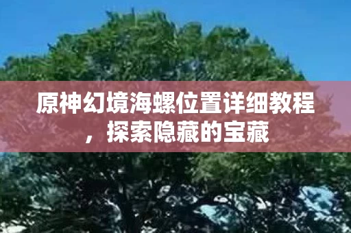 原神幻境海螺位置详细教程图片