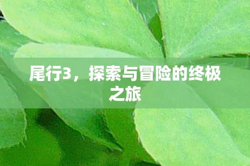 探索与冒险的终极之旅图片