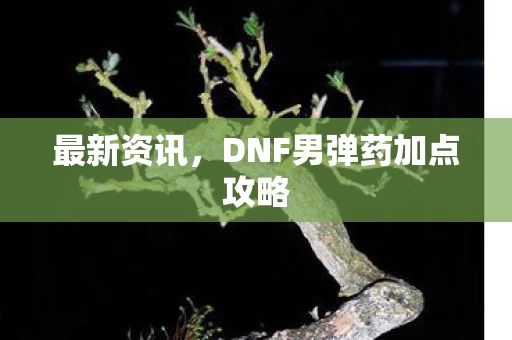 DNF男弹药加点攻略图片
