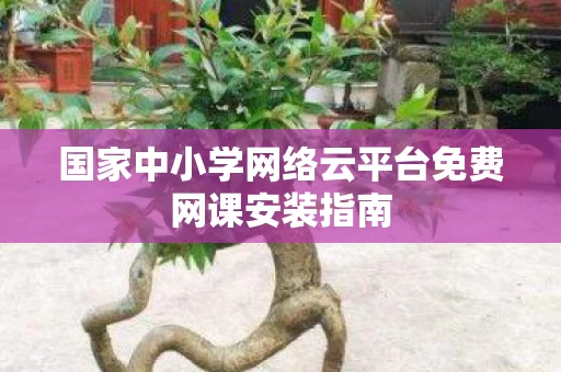 国家中小学网络云平台免费网课安装指南图片