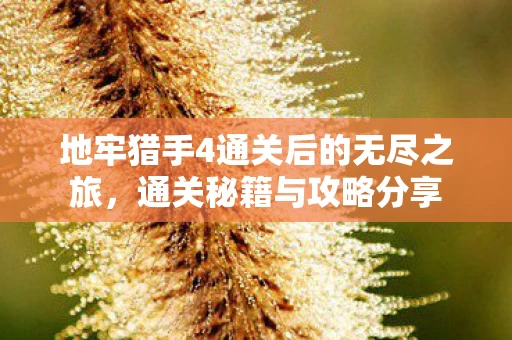 地牢猎手4通关后的无尽之旅图片