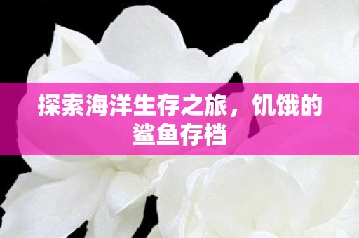 探索海洋生存之旅图片