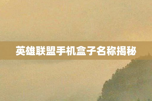 英雄联盟手机盒子名称揭秘图片