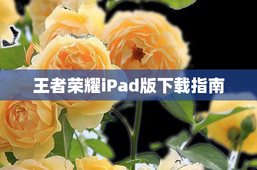 王者荣耀iPad版下载指南图片