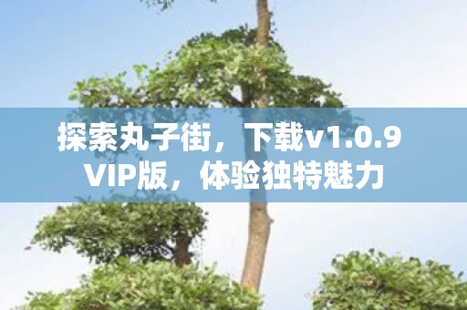 9 VIP版图片
