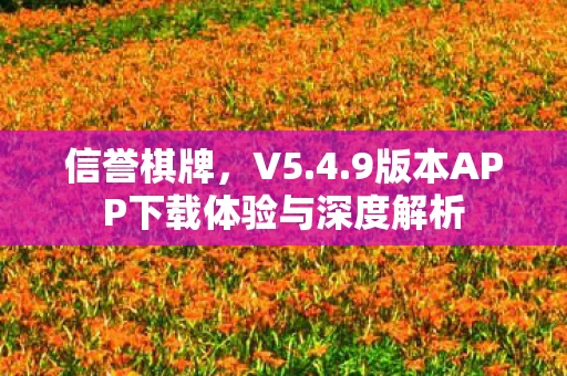 9版本APP下载体验与深度解析图片